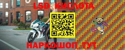 a pvp Кингисепп