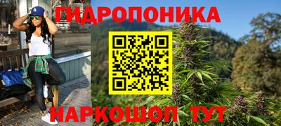 a pvp Кингисепп