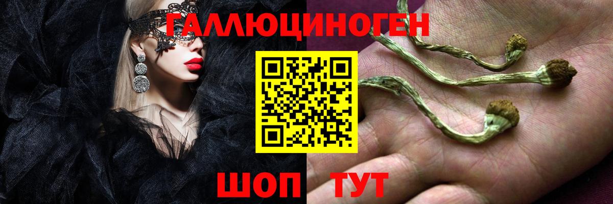 Кольчугино  Псилоцибиновые грибы Cubensis  где можно купить   Вход с VPN 